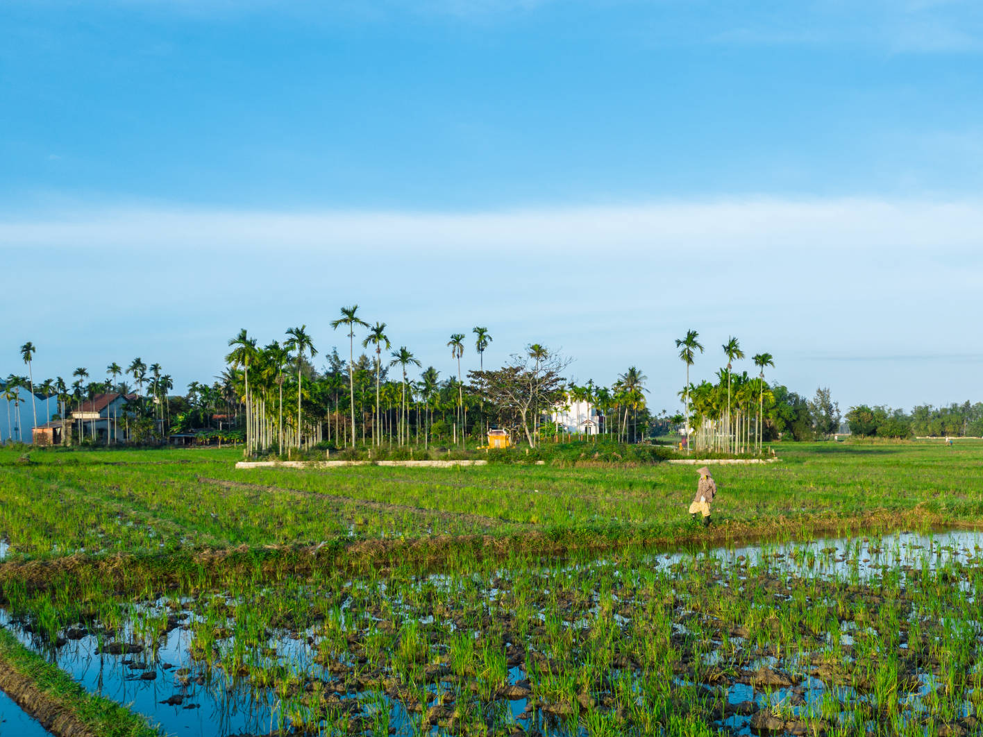 Vietnam Berge Da Nang